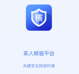 实人核验app