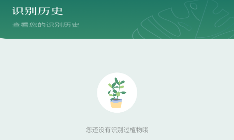 树林记忆app